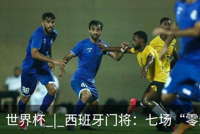世界杯 | 西班牙门将：七场“零封” 功不在我