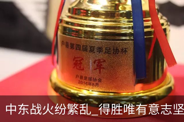 中东战火纷繁乱 得胜唯有意志坚