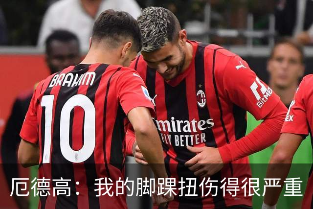 厄德高：我的脚踝扭伤得很严重