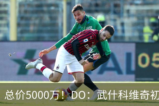 总价5000万！DO：武什科维奇初始转会费4600万镑，热刺有二转分成
