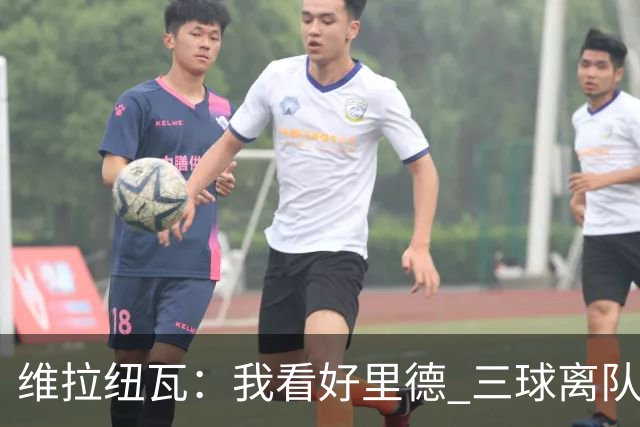 维拉纽瓦：我看好里德 三球离队黄蜂的实力反而得到了提升