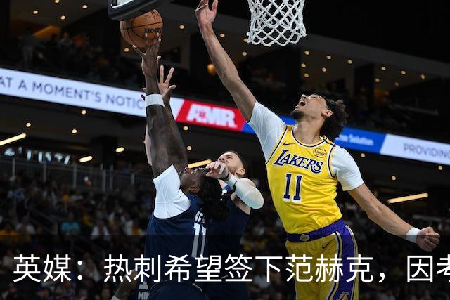 英媒：热刺希望签下范赫克，因考虑其与德泽尔比交情