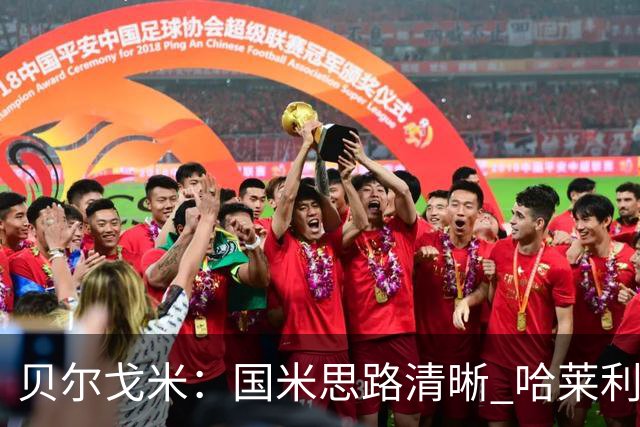 贝尔戈米：国米思路清晰 哈莱利就像阿什拉夫 防线引援选卢库米